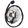 Yamaha YZ250 YZ250F Magneto Stator Coil (2010-2013)