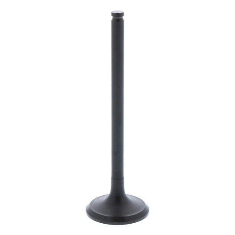 Honda Bronco Engine Exhaust Valve