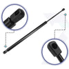 Cadillac Escalade (2002-2006) Black Rear Hatch Lift Supports Struts