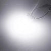 Holden Commodore LED White Rear Reverse Bulbs BA15s (1997-2017)