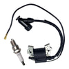 Einhell BG-PM 51 S HW GTR-E Ignition Coil Spark Plug Kit
