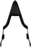 Harley Touring Road King CVO Rear Tall Sissy Bar Backrest Pad (2009-2021)