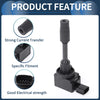 Chevrolet Malibu Ignition Coil Pack (2013-2020)