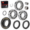 Rubicon TRX500FA / TRX500FGA Rear Differential Bearing Seal Kit (2005–2012)