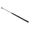 Honda Civic 11th Gen Front Hood Gas Lift Supports (2021-2022)
