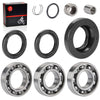 Honda Foreman Rear Diff. Oil Seal & Bearing Kit (2000–2014)