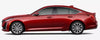 CADILLAC CT5 4Pcs Molded Splash Guards Mud Flaps Fender (2020–2025)