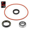 Yamaha Big Bear 250 Bruin 250 Rear Brake Panel Bearing Kit (1986–2008)