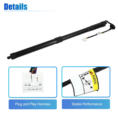 Nissan Rogue Rear Left Right Tailgate Gas Struts (2014-2020)