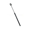 Toyota Camry Boot Lid Support Strut (2018–2025)