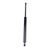 Lexus SC430 Trunk Liftgate Lift Support Shocks (2002-2010)