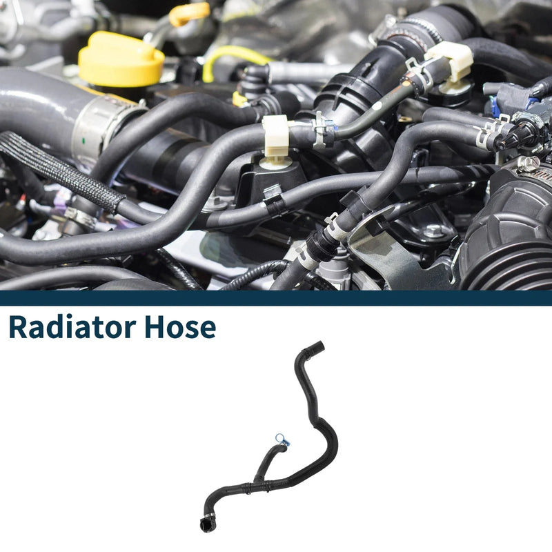 Buick Verano Radiator Hose (2018–2019)