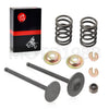 Yamaha G27 / G28 / G29 Gas Golf Cart 96-11 Intake Exhaust Valve Kit Seal Spring