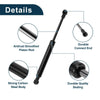 Nissan Sentra Rear Hatch Lift Supports (2000-2006)