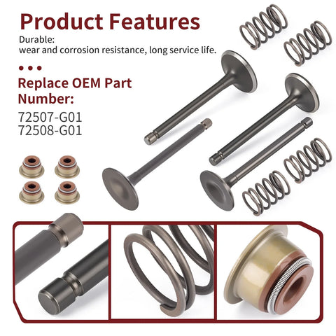 EZGO Gas 4 Stroke 295cc 350cc Intake & Exhaust Valve Set with Seals (1996–2026)