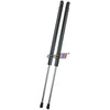 Lexus GS300 GS430 GS460 Gas Shock Strut (2005-2011)