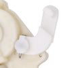 Ford Escape, Mazda Tribute Tailgate Lock Actuator (2001-2012)