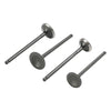 Polaris Ranger Magnum Sportsman Intake Valve (2000-2002)