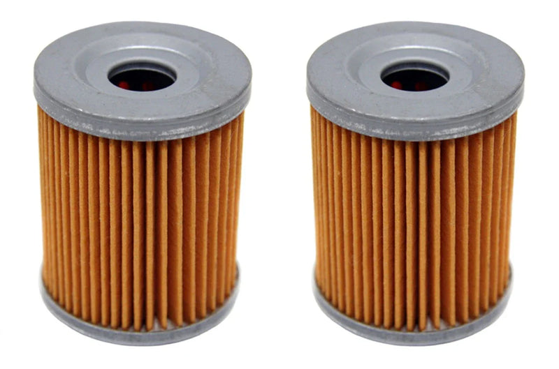 Suzuki Ozark 250 2 x Oil Filters (2002–2014)