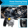 Great Wall V240 X240 2.4L 4G69S4N Petrol Power Steering Pump (09-ON)