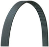 Dodge Challenger Charger Serpentine Belt (2008-2023)