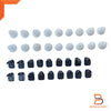 Toyota Hilux Ute LN30 LN40 RN30 36 PCS Clips (1978-1983)