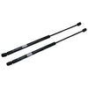 Mazda 3 BK Rear Hatch Gas Strut (2004-2009)