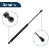 BMW 325i 328i E90 E91 E92 E93 Front Hood Lift Supports Struts (2005-2013)
