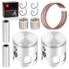 Banshee 350 Pistons & Ring Bearing Kit 64mm (1987–2006)