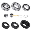 Honda Foreman Rubicon 500 Rear Differential Bearing Seal Kit (2015–2024)