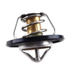 Hyundai Kia Veloster Soul 1.6L Coolant Thermostat (2011-2019)