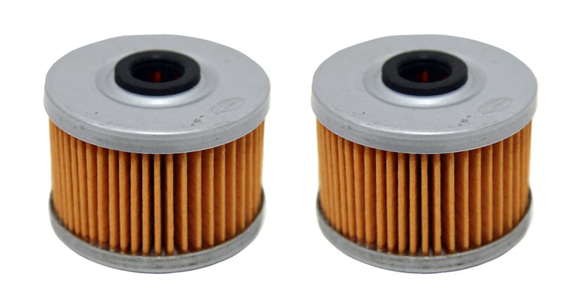 Honda Rancher 350 420 TRX300EX TRX400EX Foreman 450 500 Oil Filters 2 x