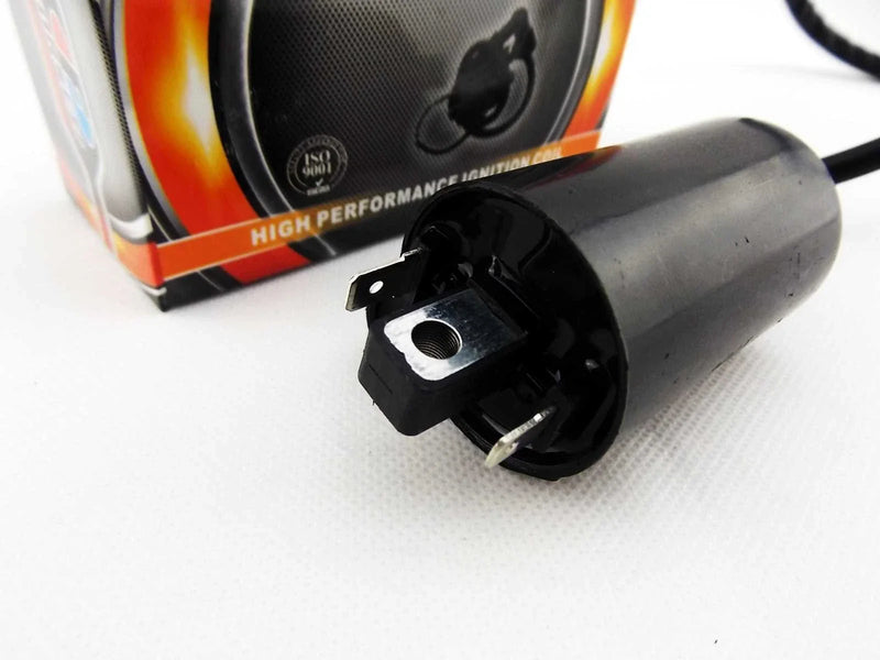 Suzuki TS125 Ignition Coil Assembly (1982)
