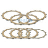 Honda GL1800 Gold Wing, Valkyrie Clutch Friction Plates (2001-2017)