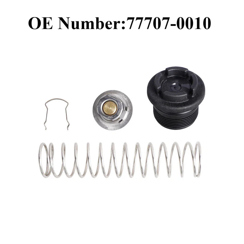 Pentair Pool Heater Thermal Regulator Replacement Kit (2000–2024)
