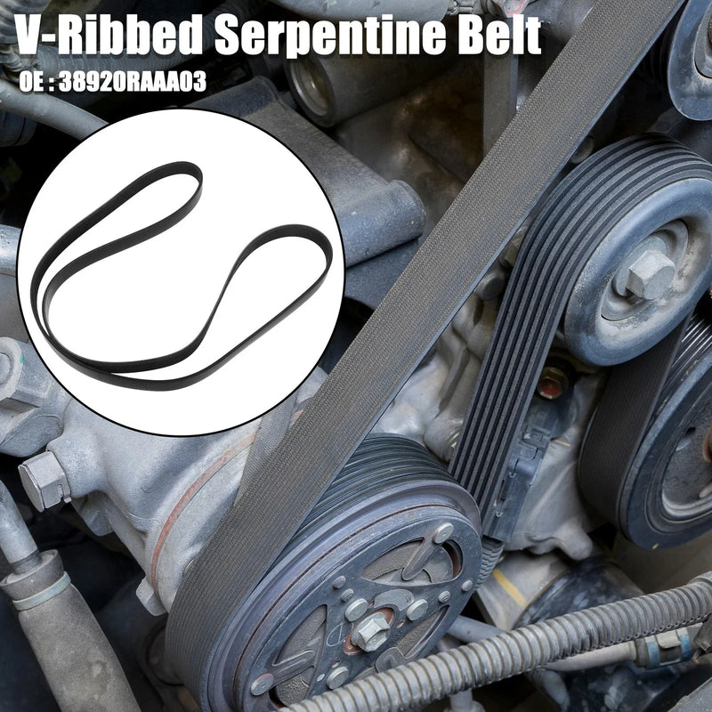 Honda Accord V-Ribbed Serpentine Drive Belt (2003-2007)