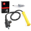 Honda XR250L Ignition Coil & Spark Plug w/Cap (1991-1996)