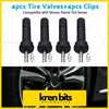 Black tire valve stems with silver metallic caps for tyre pressure monitoring system suitable for nissan patrol y62 series